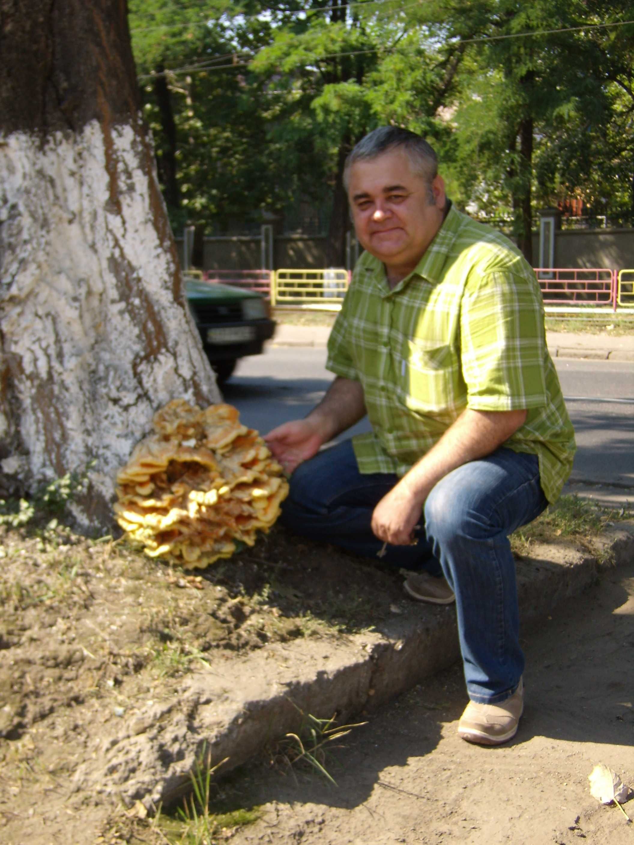 Міцелій для пеньків