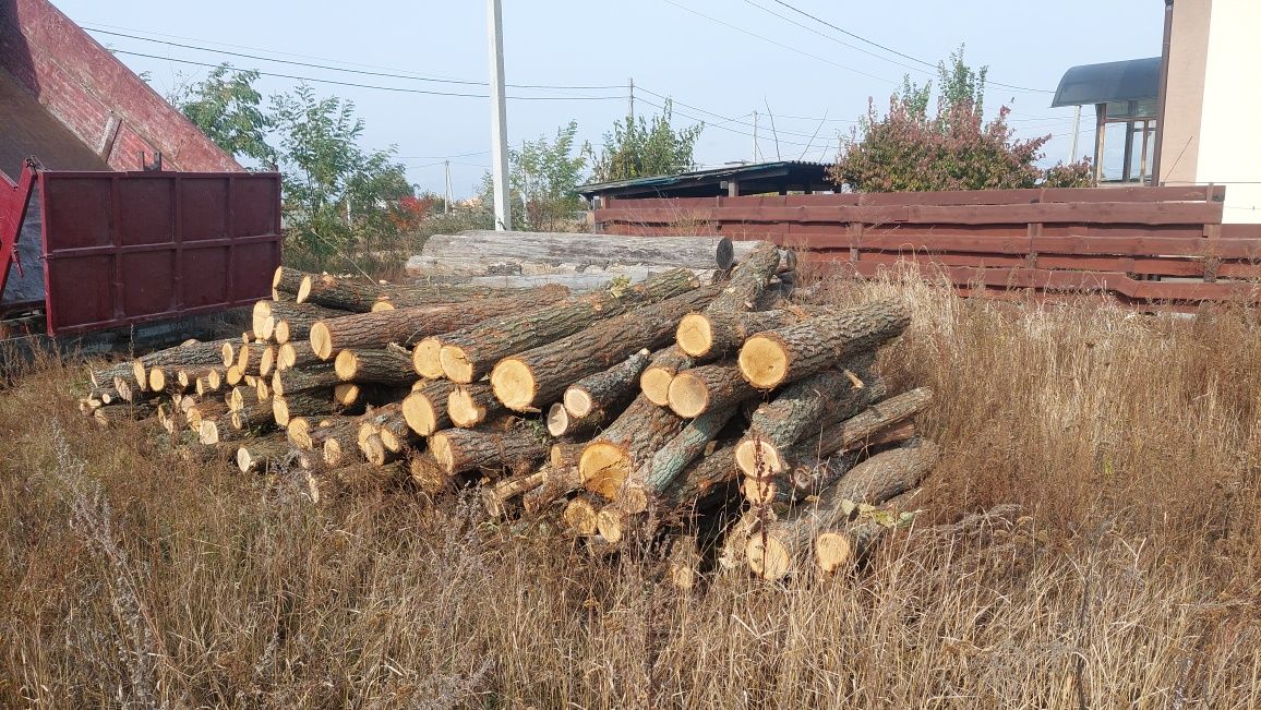 Дрова Дуб Береза Сосна Якісні