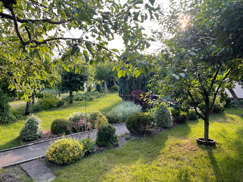 Działka ROD z domkiem murowanym, ul. Arkońska