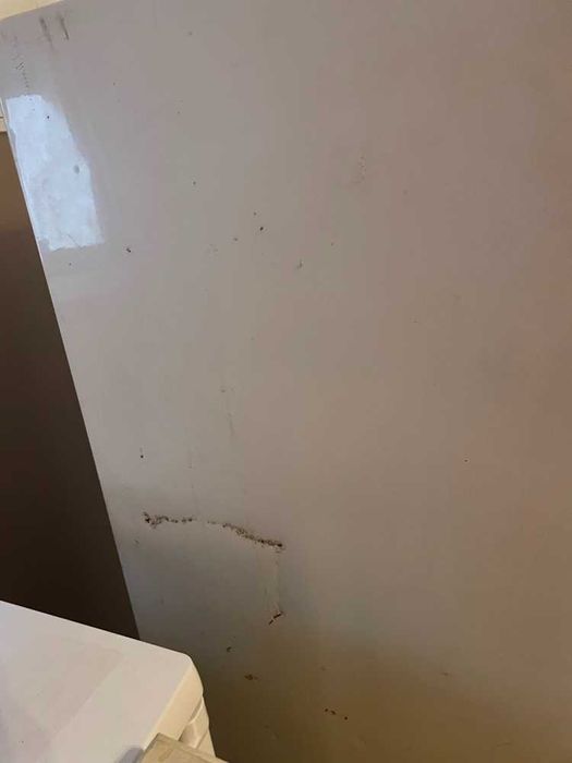 Frigorífico Combinado 2 Portas (Bosch/Siemens) - 245L - A funcionar