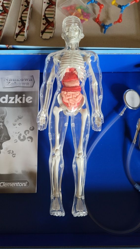 Ciało człowieka Clementoni Human Body jak nowe