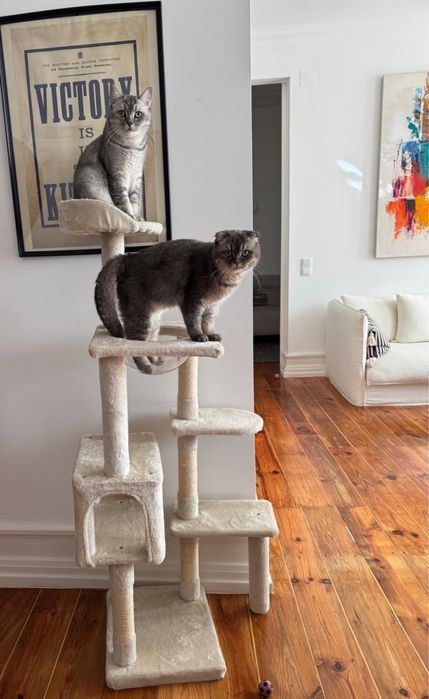 Playground para gatos