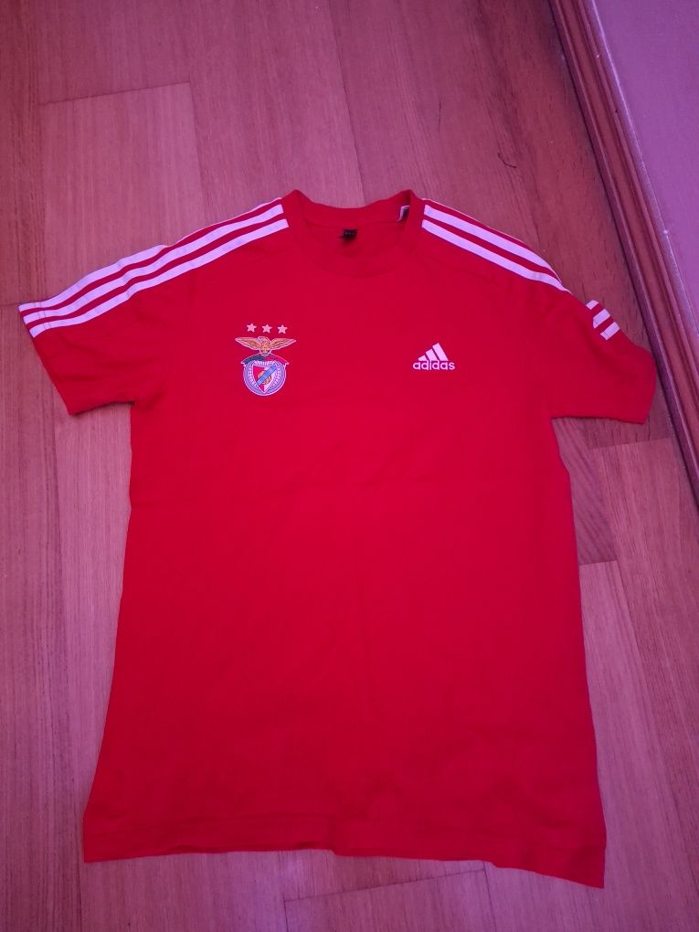 Camisola Benfica M