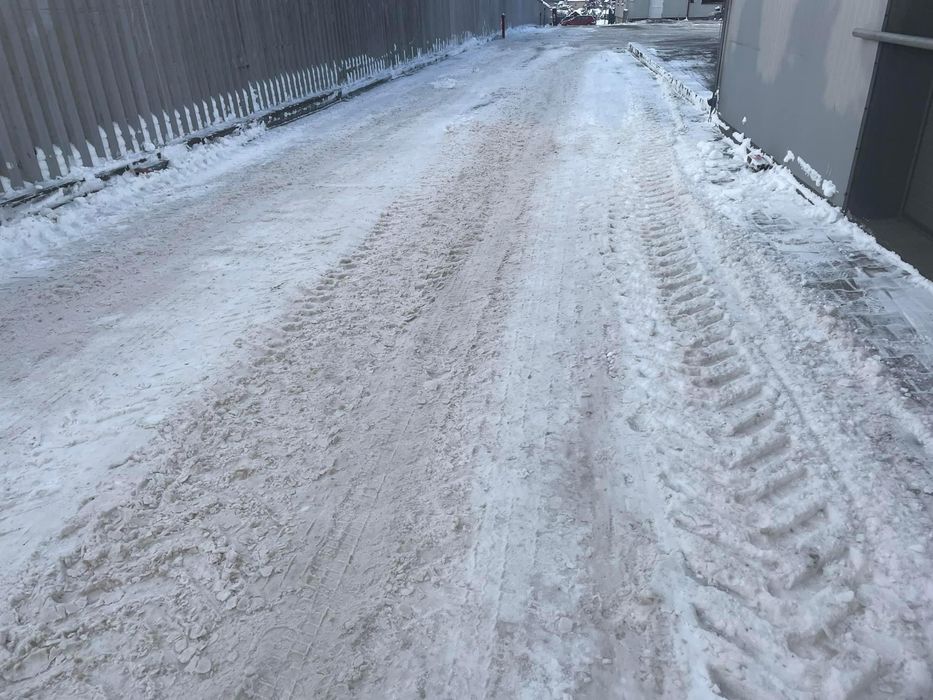 Wycinki drzew uslugi sprzatajace