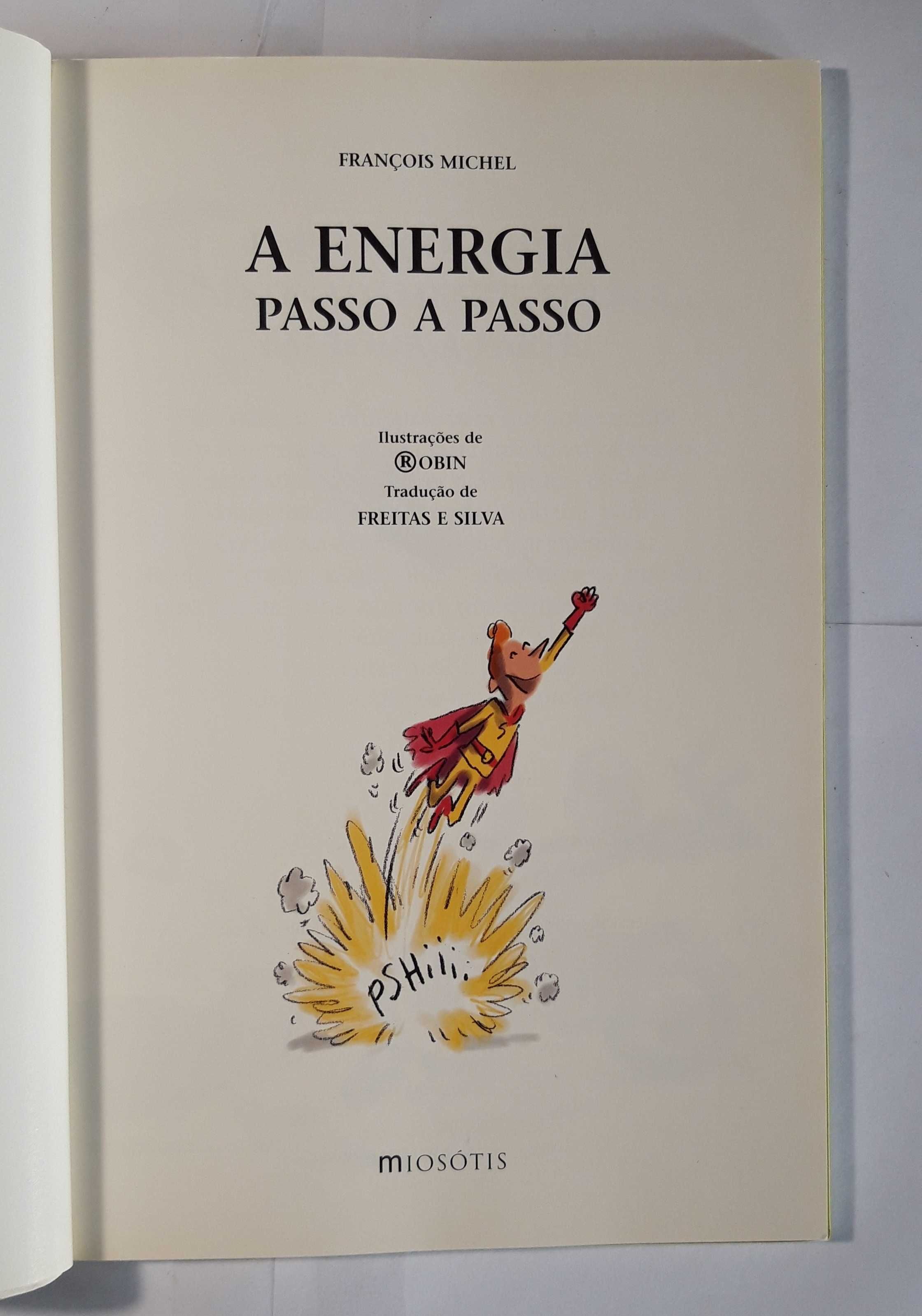 Livro  Ref:PVI - François Michel - A Energia Passo a Passo