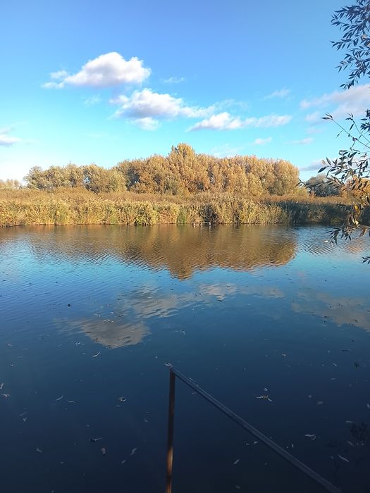 Продається земельна ділянка