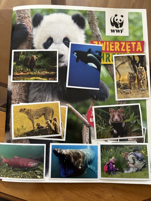 Naklejki Zwierzęta chronione WWF Lidl 2025