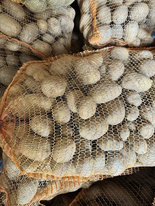 Ziemniaki z własnej działki