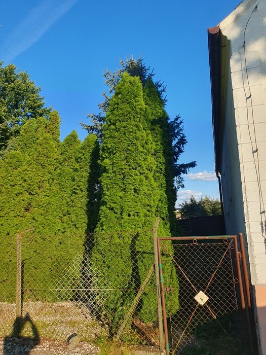 Siedlisko z zabudowaniami