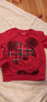Bluza dla dziewczynki Myszka Miki, 116