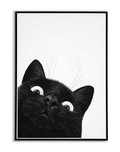 Kot "Angry Black Cat vol.4" PLAKAT A3 - trzeci plakat GRATIS