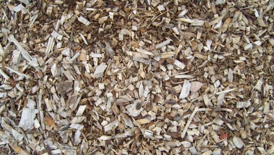 Sprzątanie działki, ogrodów, karczowanie zieleni