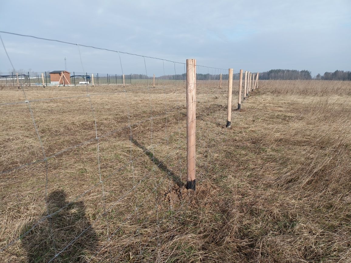 Ogrodzenie Budowlane Ogrodzenie Leśne Tymczasowe