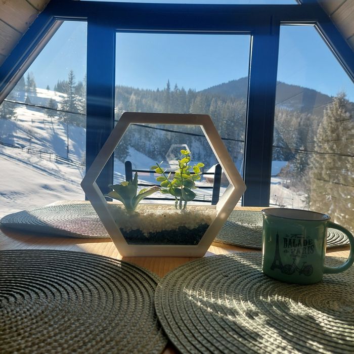 Synevyr House Житло подобово