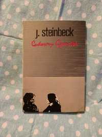 Cudowny czwartek - Steinbeck J.