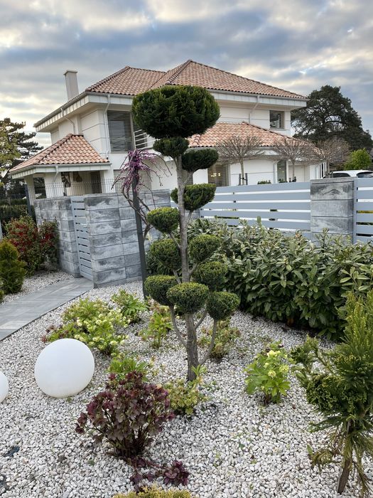 Zakładanie ogrodów , trawnik z rolki , stała pielęgnacja, nasadzenia