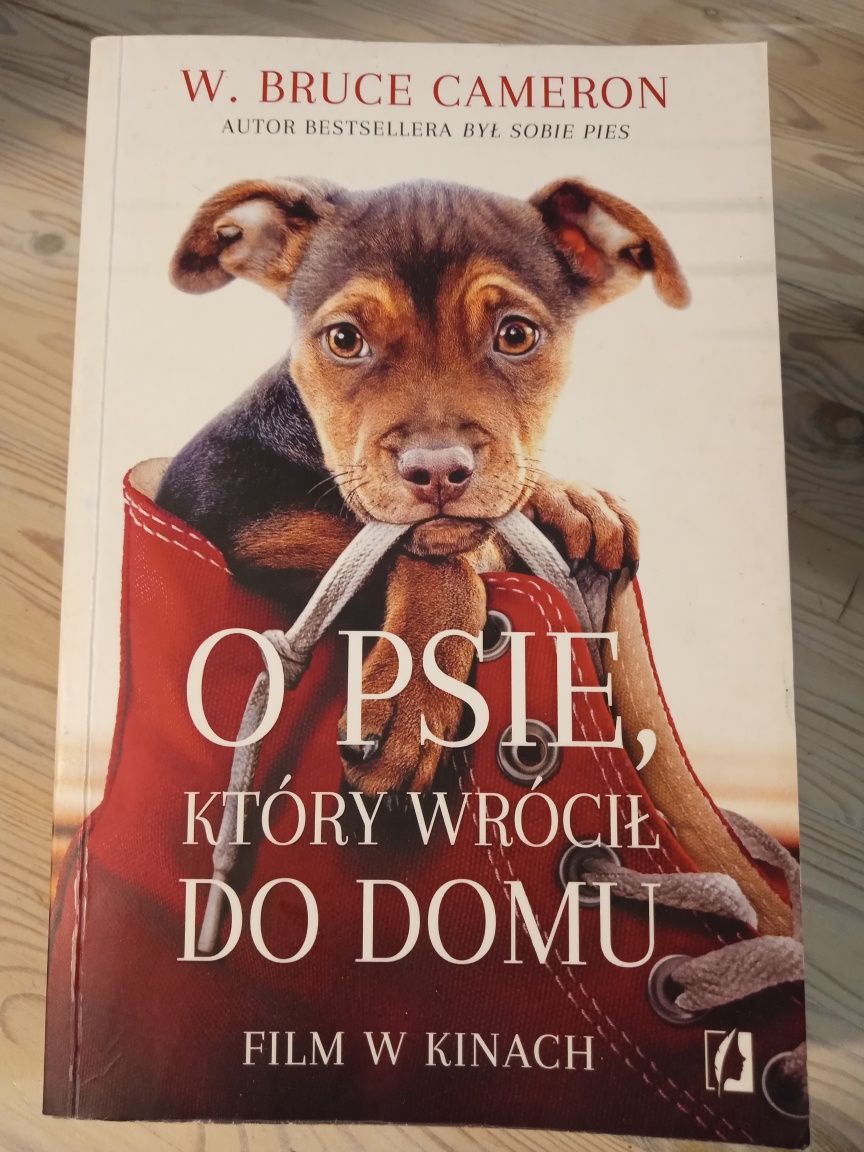 O psie, który wrócił do domu