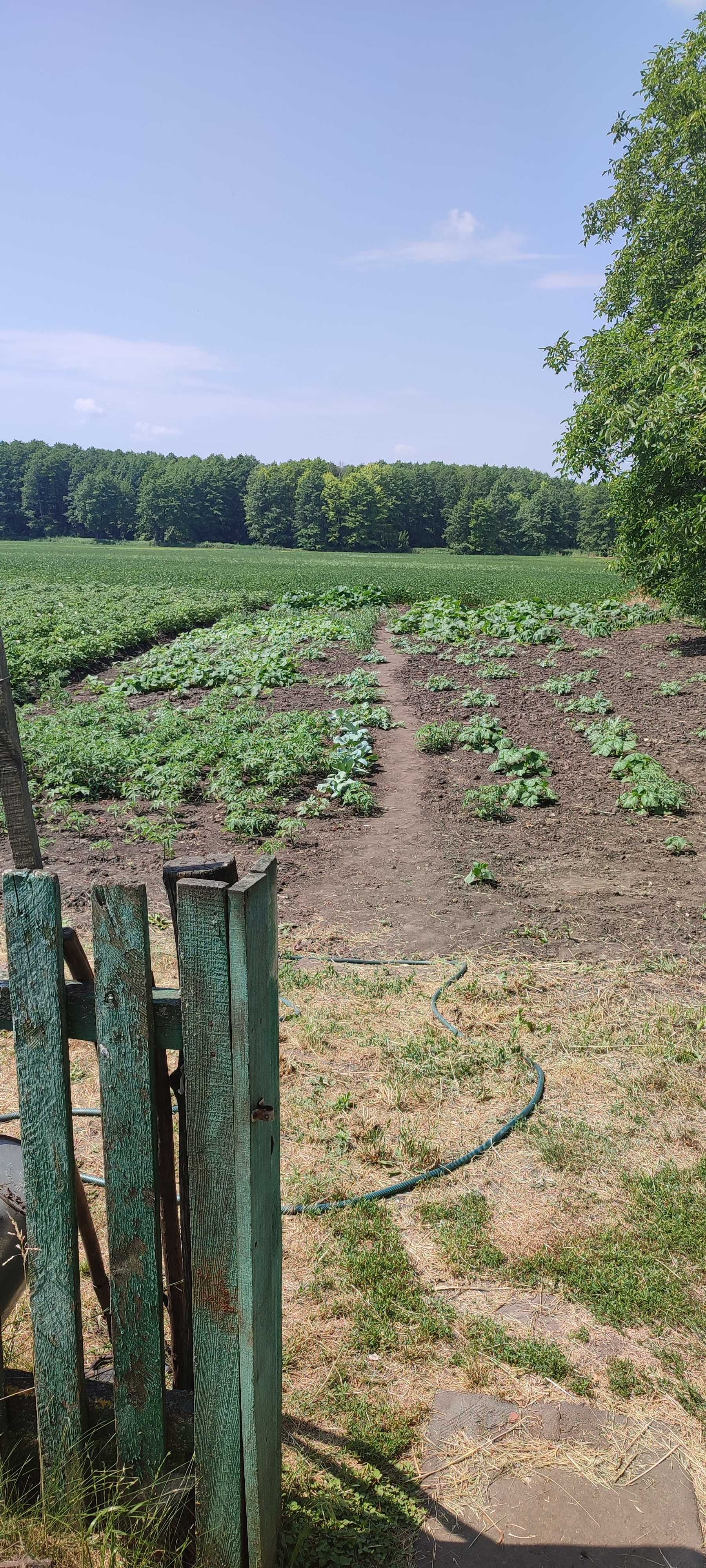 Продам жилий будинок в селі.