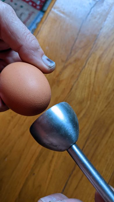 obcinacz do jajek CRACK