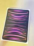 iPad 11 pro M2 cellular 256gb Apple Pencil 2 plus case