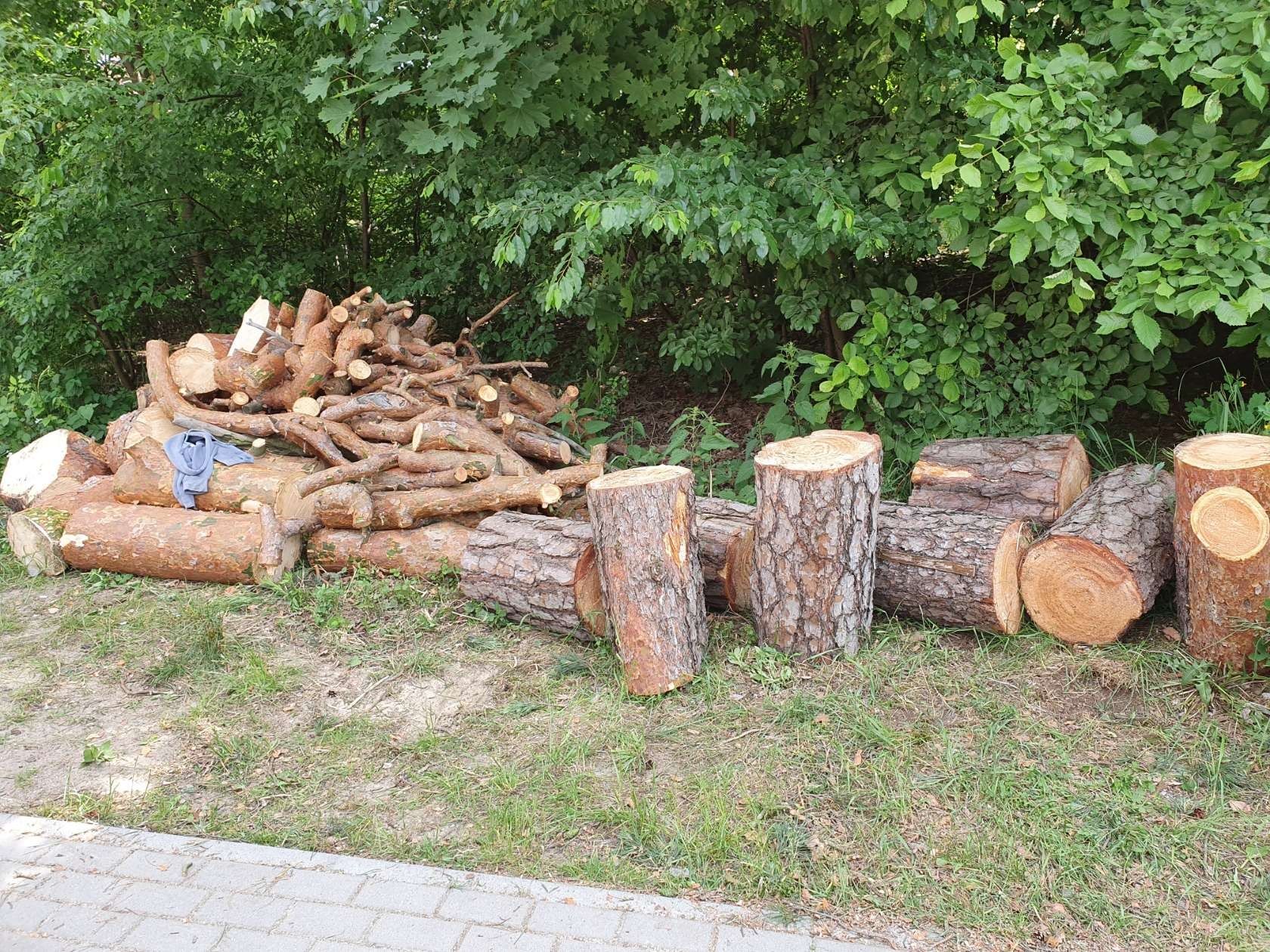 Oczyszczanie działek wycinka mulczer karczowanie rębak zrębkowanie