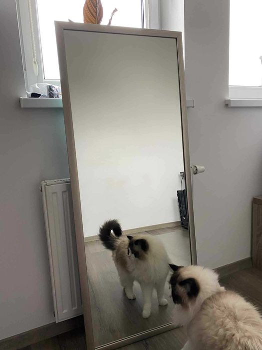 Lustro do powieszenia na ścianie