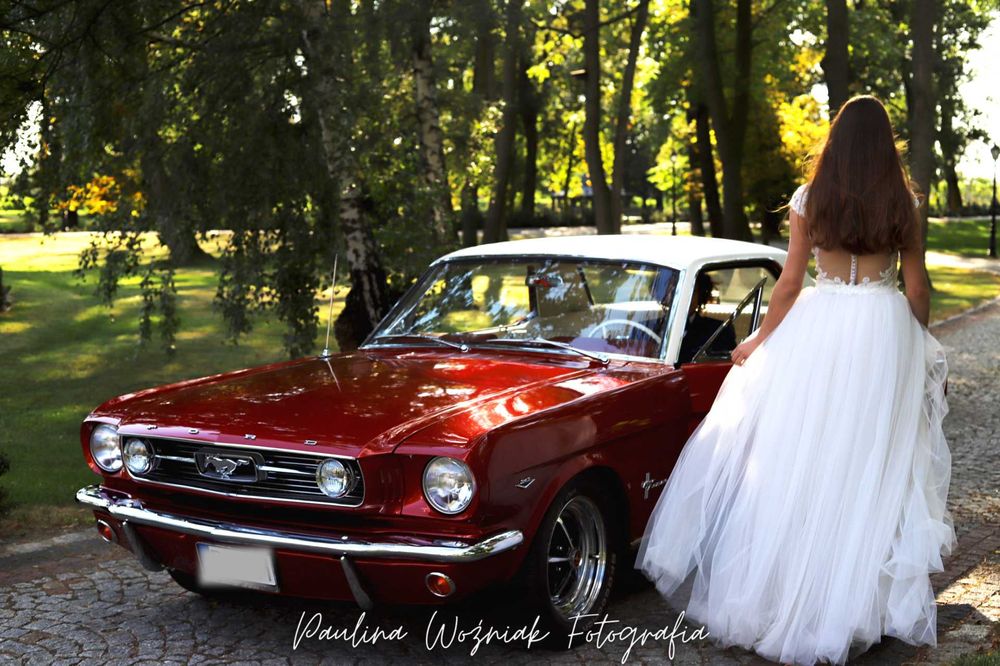 Auto/ Samochód/Klasyk do ślubu.  Ford Mustang 1966r.