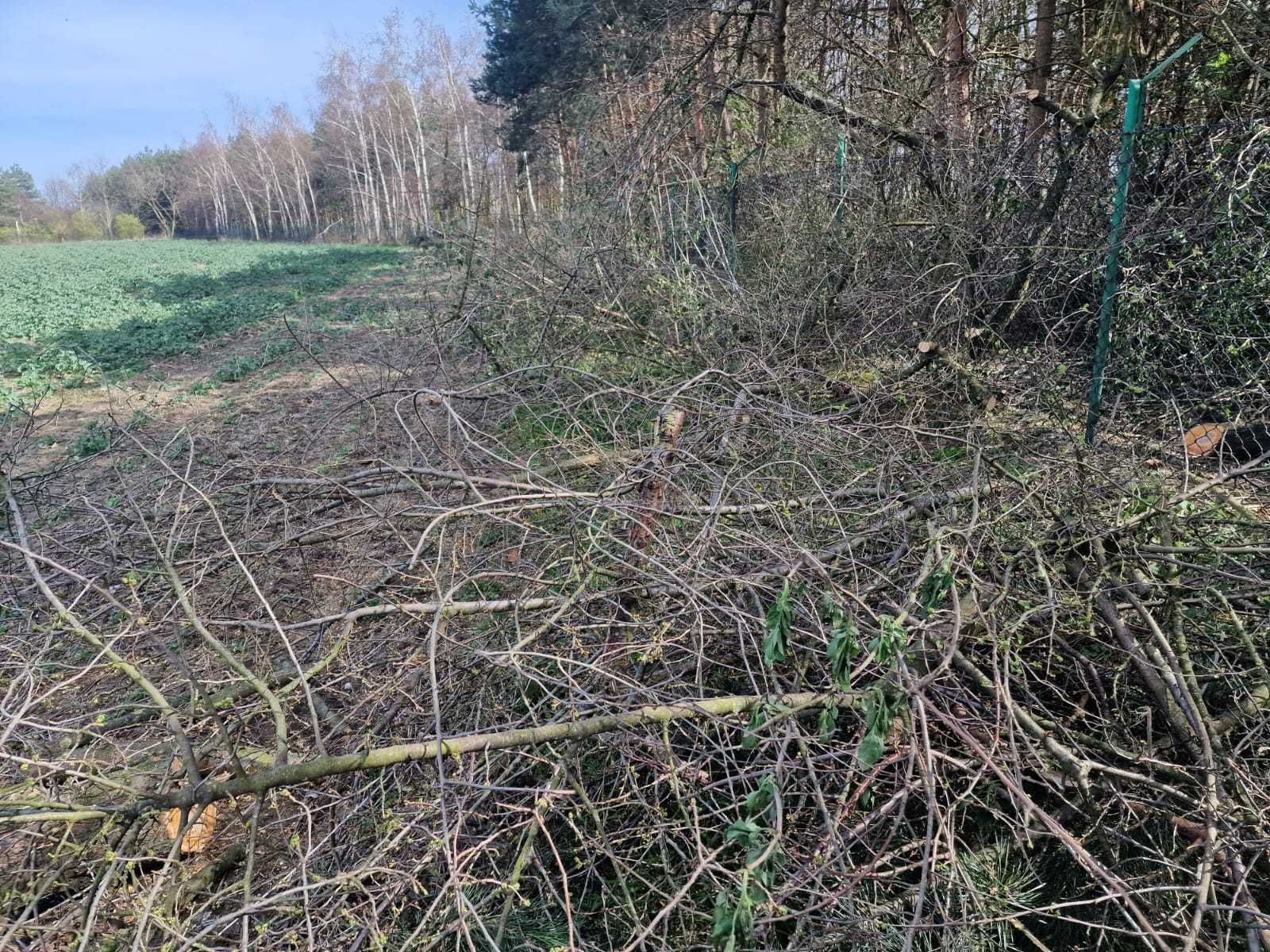 Usługa rębakiem walcowym i kosiarką bijakową.