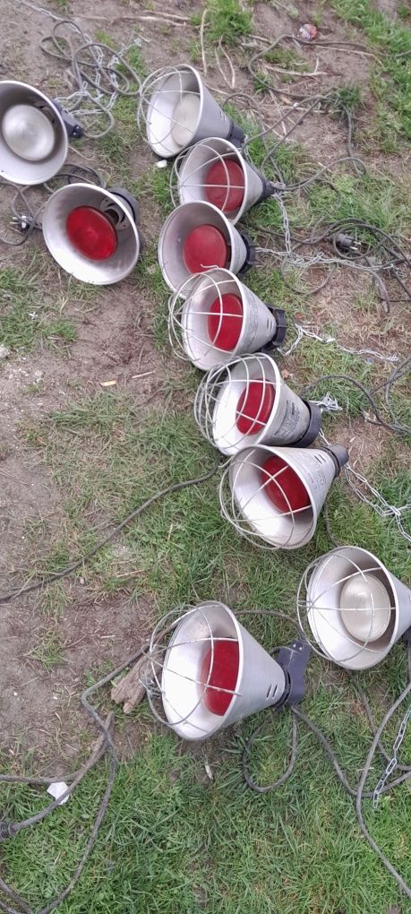 Lampy dla zwierząt promieńik ciepła