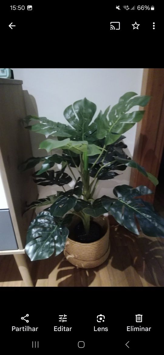 Planta Artificial Monstera de Alta Qualidade