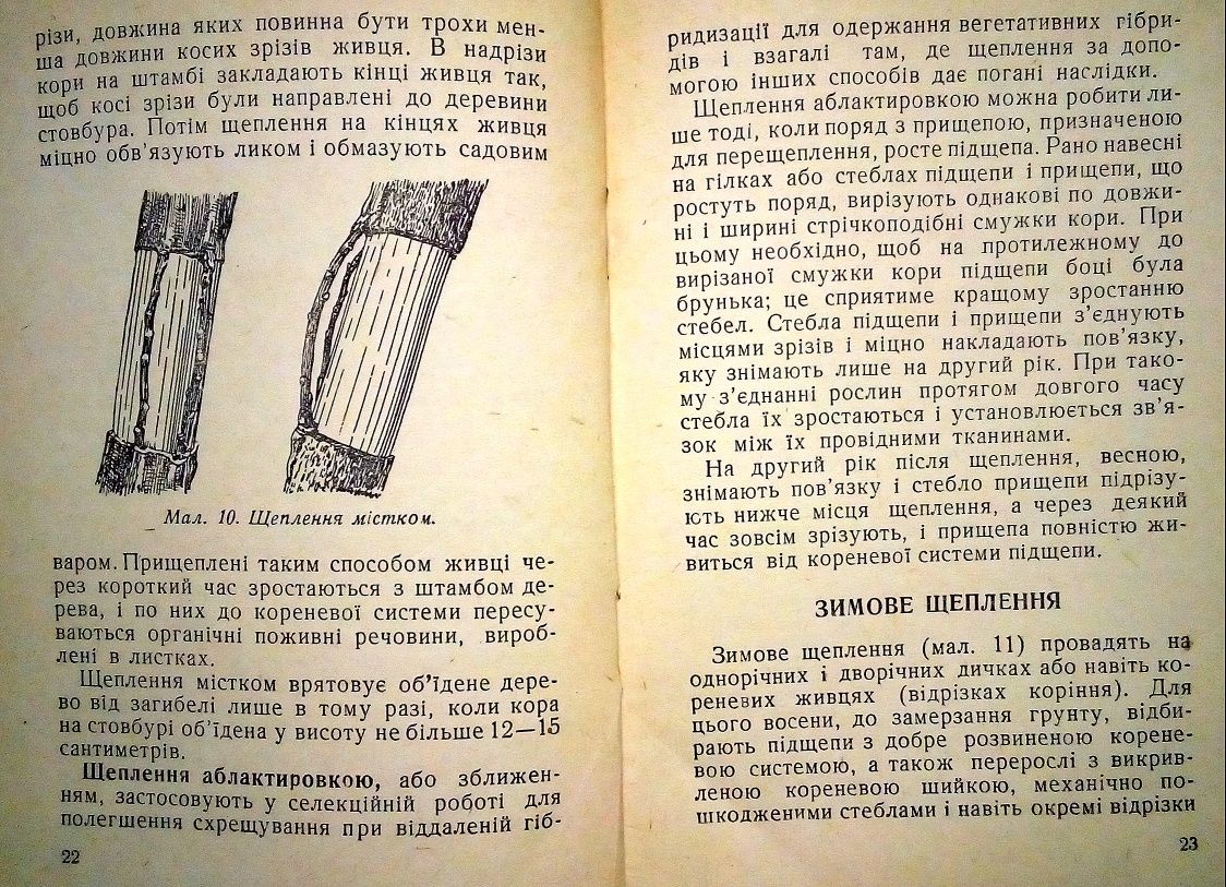 Щеплення плодових дерев способи опис пояснення 1958 р брошура