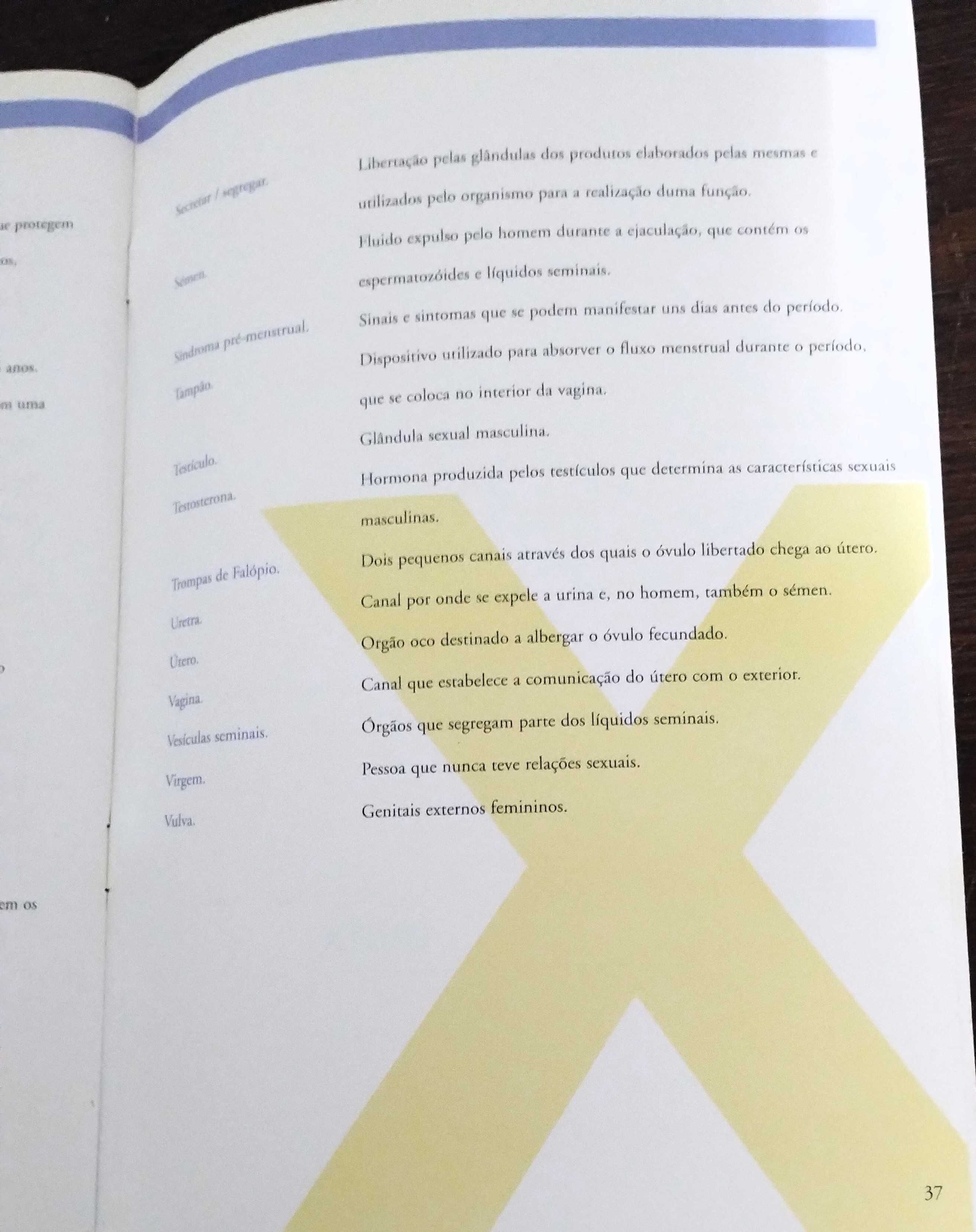 Livro Juvenil Mestruação Evax Meninas Periodo
