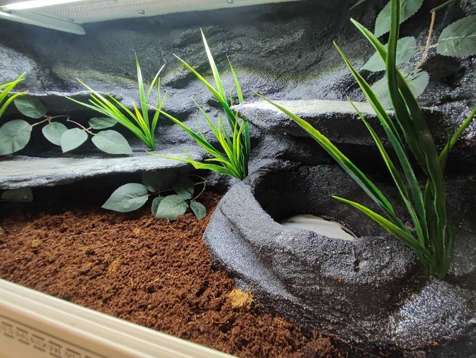 Terrarium tropikalne nr702 80/40/40 dla węża boa pyton DOSTĘPNE