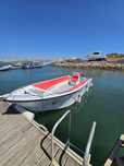 SeaMaster 670 Beach (MT)