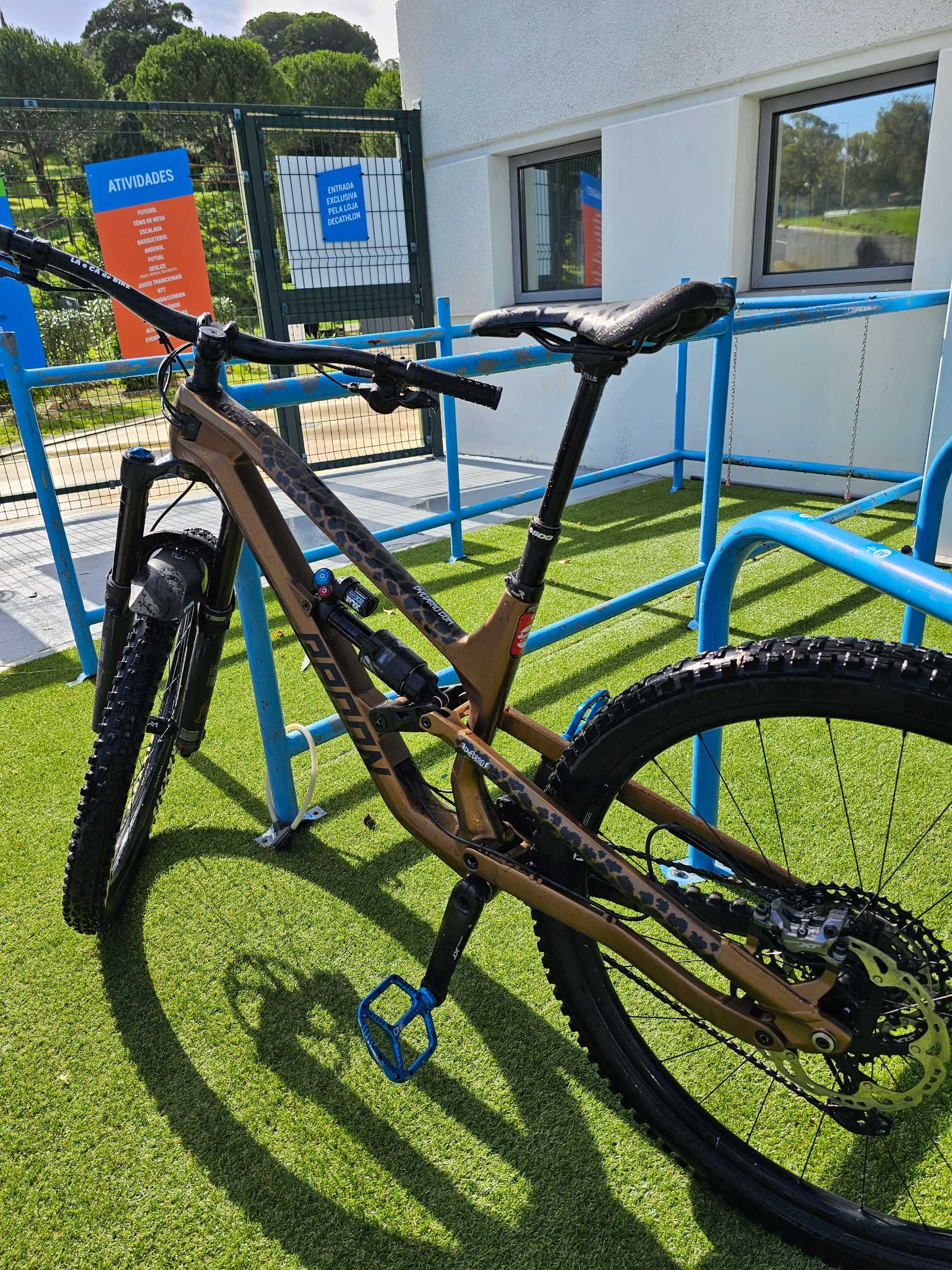 Radon Swoop 10.0 (M)