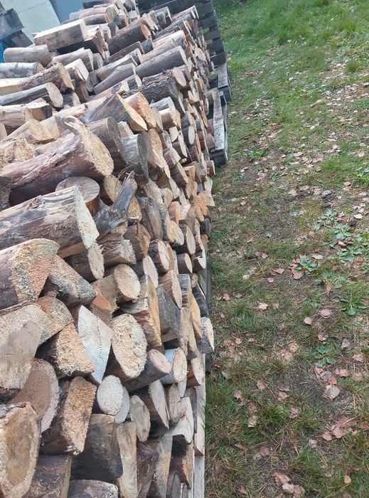 Sezonowane drewno pocięte na klocki.