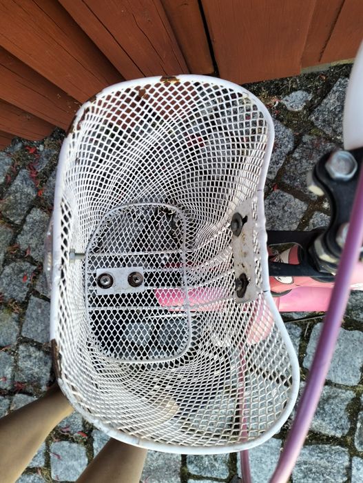 Rowerek 12 cali dla dziewczynki