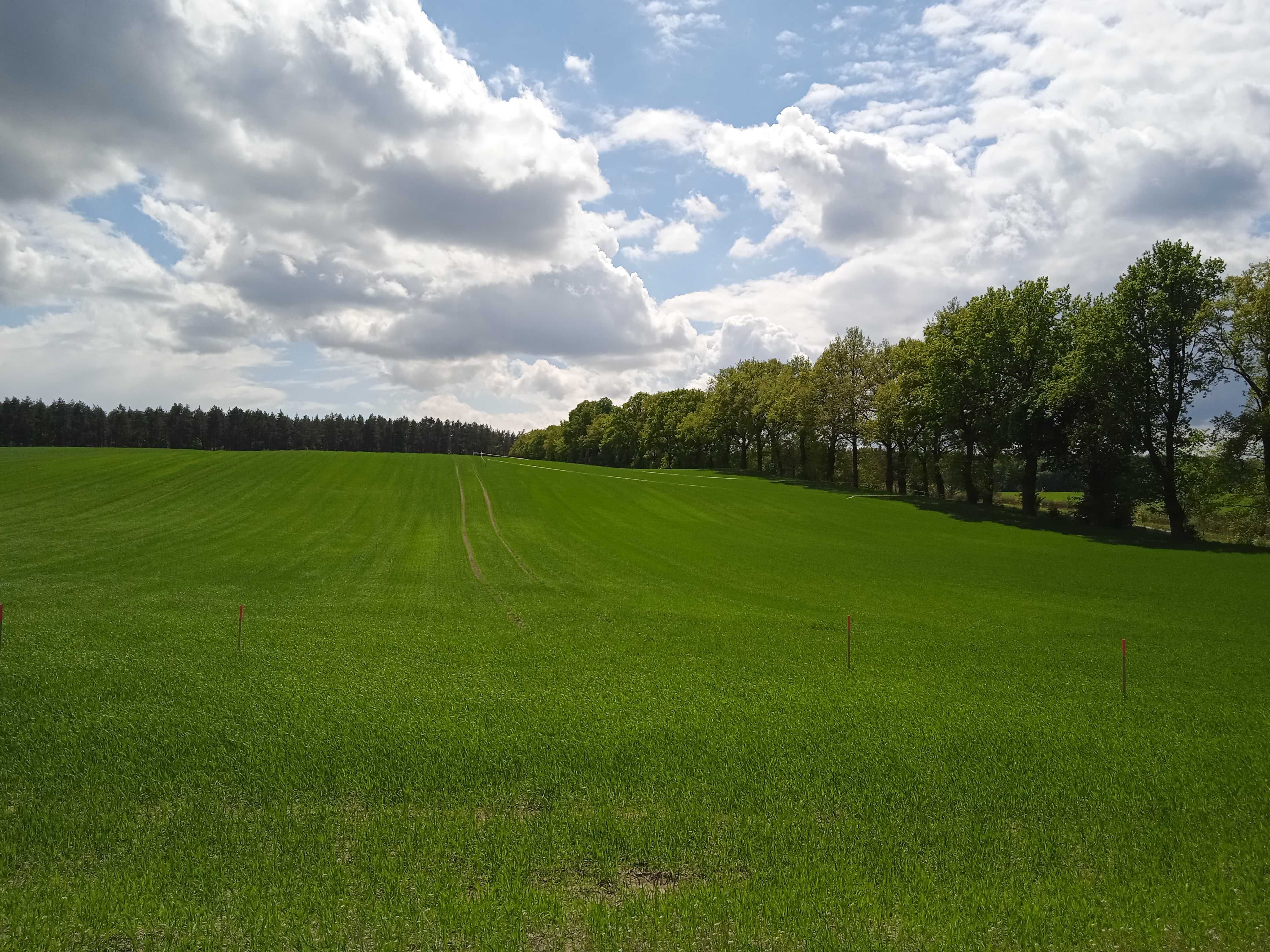 Działka budowlana ok. 15 ar