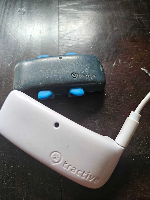 Tracactive GPS dla psa