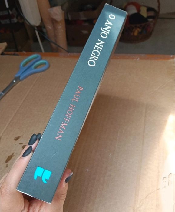 Livro "O Anjo Negro" de Paul Hoffman