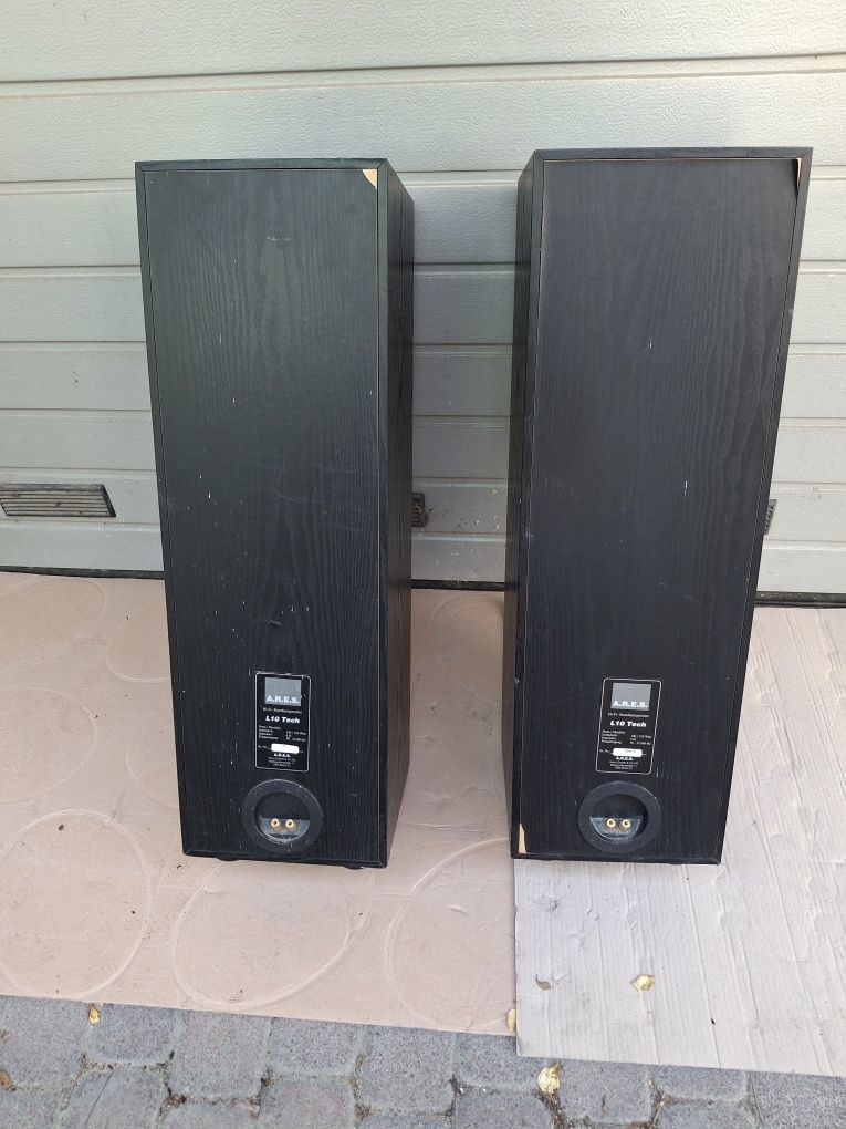 Kolumny podlogowe A.R.E.S. LT  10 Tech 110/150 W