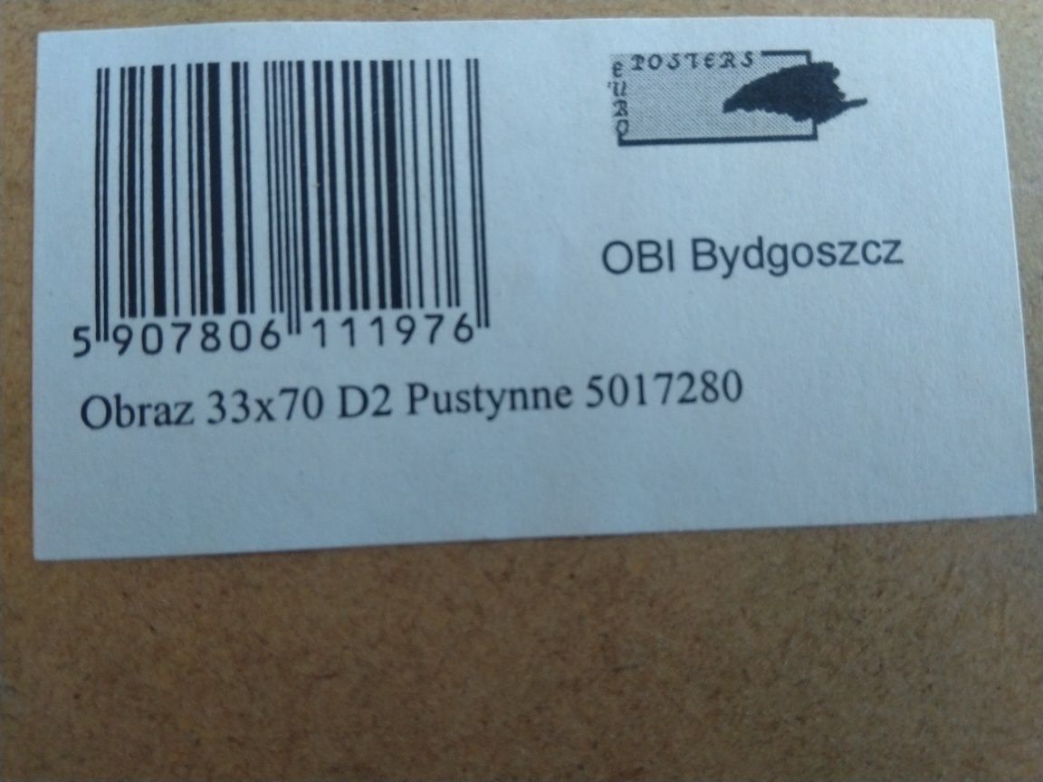 Obraz motym pustynny