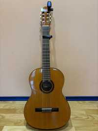 Gitara Cordoba Protege