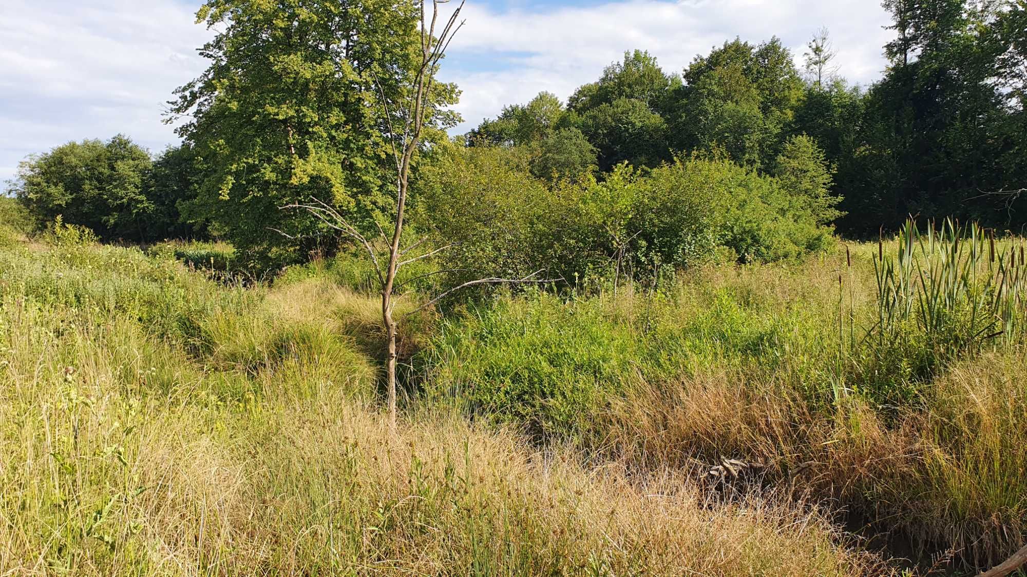 Działka Rekreacyjna BIESZCZADY 16 Arów Ustjanowa Dolna