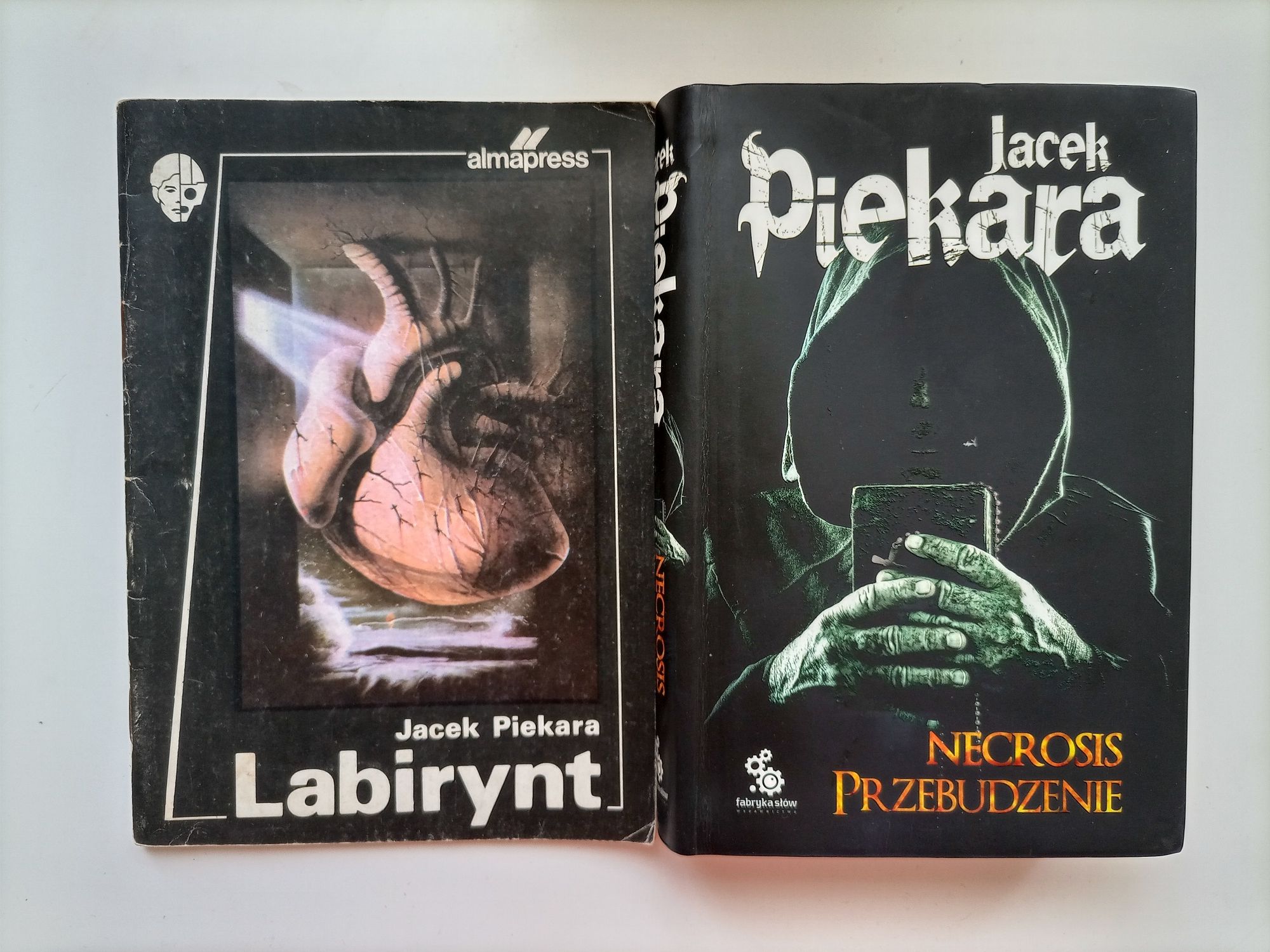 Jacek Piekara Necrosis Przebudzenie Labirynt