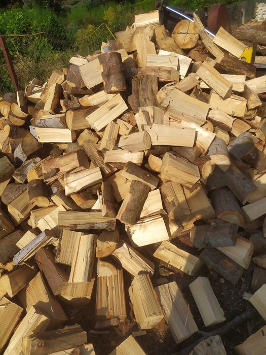 Sprzedam drewno iglaste i liściaste opalowe
