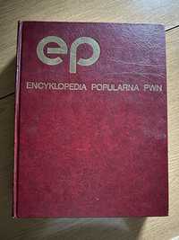 Encyklopedia pwn