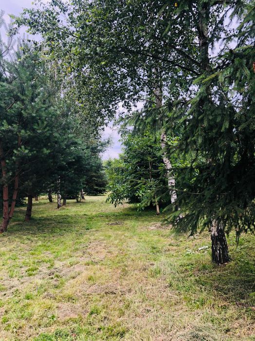 domek Zator Energylandia 8 osobowy noclegi domki pokoje apartamenty
