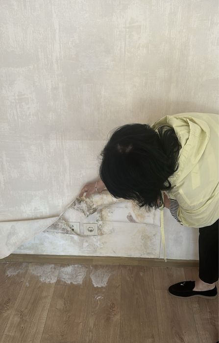 Удаление грибка , удаление плесени . Устранение грибка , плесени Озон