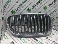 Grelha Frente / Frontal Bmw 5 (F10)